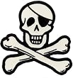 Skull and Crossbones Embroidered Patch Pirate Jolly Roger Iron-On Poison Emblem
