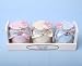 Candle In Mini Jam Jar Pot 3/Set - Floral Garden (CD3074)