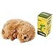 Favorite Green Basic Dog Waste Pet Poop Bags, 120-Count, Refill Rolls