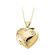 14K Yellow Gold 0.01 ct. Diamond Embossed Flowers Heart Locket with Chain