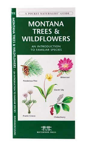 Montana Trees & Wildflowers: An Introduction to Familiar Species (State Nature Guides)