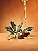 Health and Beauty Dead Sea Moroccan Aragan Oil Shampoo for Strong Shiny Hair