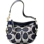 Coach Signature Zoe Top Handle Pouch Bag 41860 Blue
