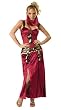 Deluxe Desert Harem Belly Dancer Costume