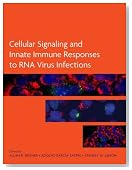 Cellular Signaling and Innate Immune Responses to RNA Virus Infections