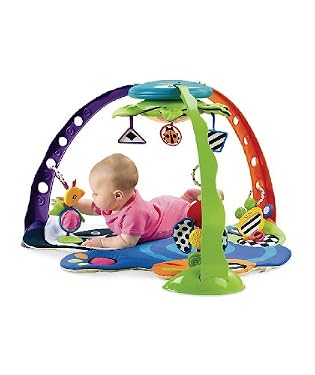 Miracles & Milestones Magical Mobile gym