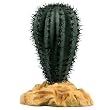 Saguaro Cactus 5 Plant