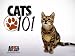 41qwoi9PXSL. SL75   What You  Need to Know  about Persian Cat  Care