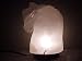 Himalayan Salt Buffalo Lamp