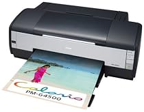 EPSON カラリオ・プリンタ PM-G4500