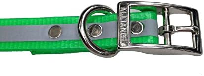 Reflective Poly Nylon Bright Neon Green Dog Collar (Small)