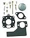 Prime Line 7-02059 Carburetor Kit Replacement for Model Briggs and Stratton 391071, 394989, 299720