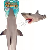 Pool Predator Shark