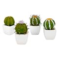 Mini Potted Cacti 4-pc. Set