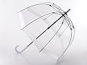 New Frame! Clear Dome Fulton Umbrella White