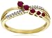 10k Yellow Gold Ruby and Diamond Journey Ring