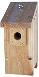Stovall 1HH Hanging Wren House Small