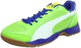 Puma Unisex - Adults evoSPEED Indoor 5 Sports Shoes - Indoors 102716