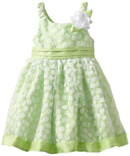 Youngland Girls 2-6X Sleeveless All Over Burnout Floral Dress, Green/White, 4