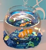 Fish Bowl Aquaglobez Unique Fish Tank Beautiful