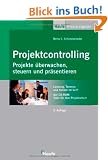Projektcontrolling