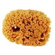 Purdy Corp. 31924 Symphony Natural Sea Sponge