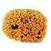 Purdy Corp. 31924 Symphony Natural Sea Sponge