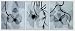 Blooming White Orchid Flower - 3 Canvas Set Oil Painting 24 x 60 inches