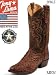 Tony Lama Exotic Full Quill Vintage Ostrich 8965