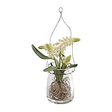 COVENT GARDEN ムスカリ・ヨークポット LD-01