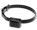 NEW! No Bark Collar for Small to Medium Sensitive Dogs