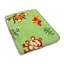 Fisher-Price Rainforest Jungle Stripe Coral Fleece Blanket