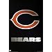 Chicago Bears Team Logo NFL Art Poster Print 22x34