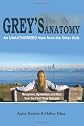 Grey's Anatomy:  An Unauthorized View from the Other Side