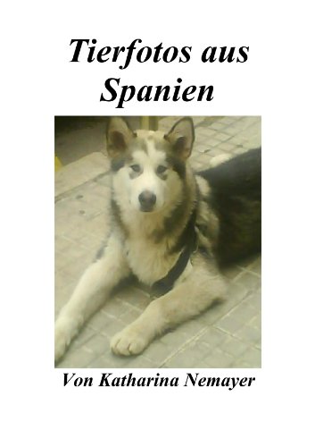 Tierfotos aus Spanien