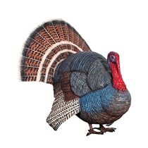 Big Sale Wild Tom Turkey Grand Scale Animal Statue