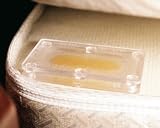 Clear View Bed Bug Monitor – 3 Pack