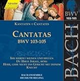 Produkt-Bild: Edition Bachakademie Vol. 33 (Kantaten BWV 103-105)