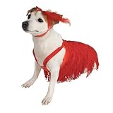 Flapper Dog Pet Costume