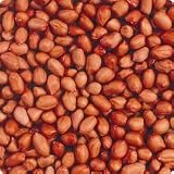 0-07525 Classic Peanuts