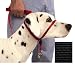 Gentle Leader Headcollar Quick Release Black - Large 60-130 Lbs.