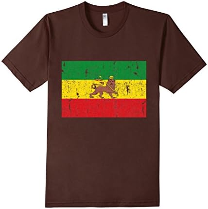 Men's Old Ethiopia Flag Lion of Judah Rasta Reggae T-Shirt Men 2XL Brown