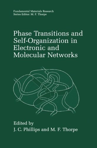 Phase Transitions and Self-Organization in Electronic and Molecular Networks (Fundamental Materials Research)