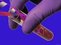 Conceptual DNA Research DNA in Test Tube Photographic Poster Print, 32x24