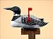 Sporting Goods : Rivers Edge Products Loon Mailbox High Impact Resin
