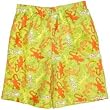 Boys Geckoes Green Printed Swim Trunks