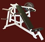 Bio Incline Bench Press