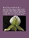 Vu Ijonfakutor: Speed, Max, W-Inds., Gu N Yu Arisa, Folder5, Da Pump, G C N N I N N, Sonic Groove, D y M y Ng Zi, Gu Zh Ng Li Ng Zi