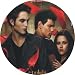 New Moon Twilight Jacob Edward Bella Glass Christmas Ornament Suncatcher #9
