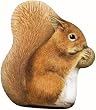 Squirrel Silkscreened Paperweight Paper Weight